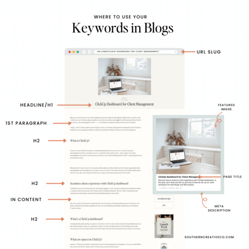 Image to show where to add SEO keywords in Blogs