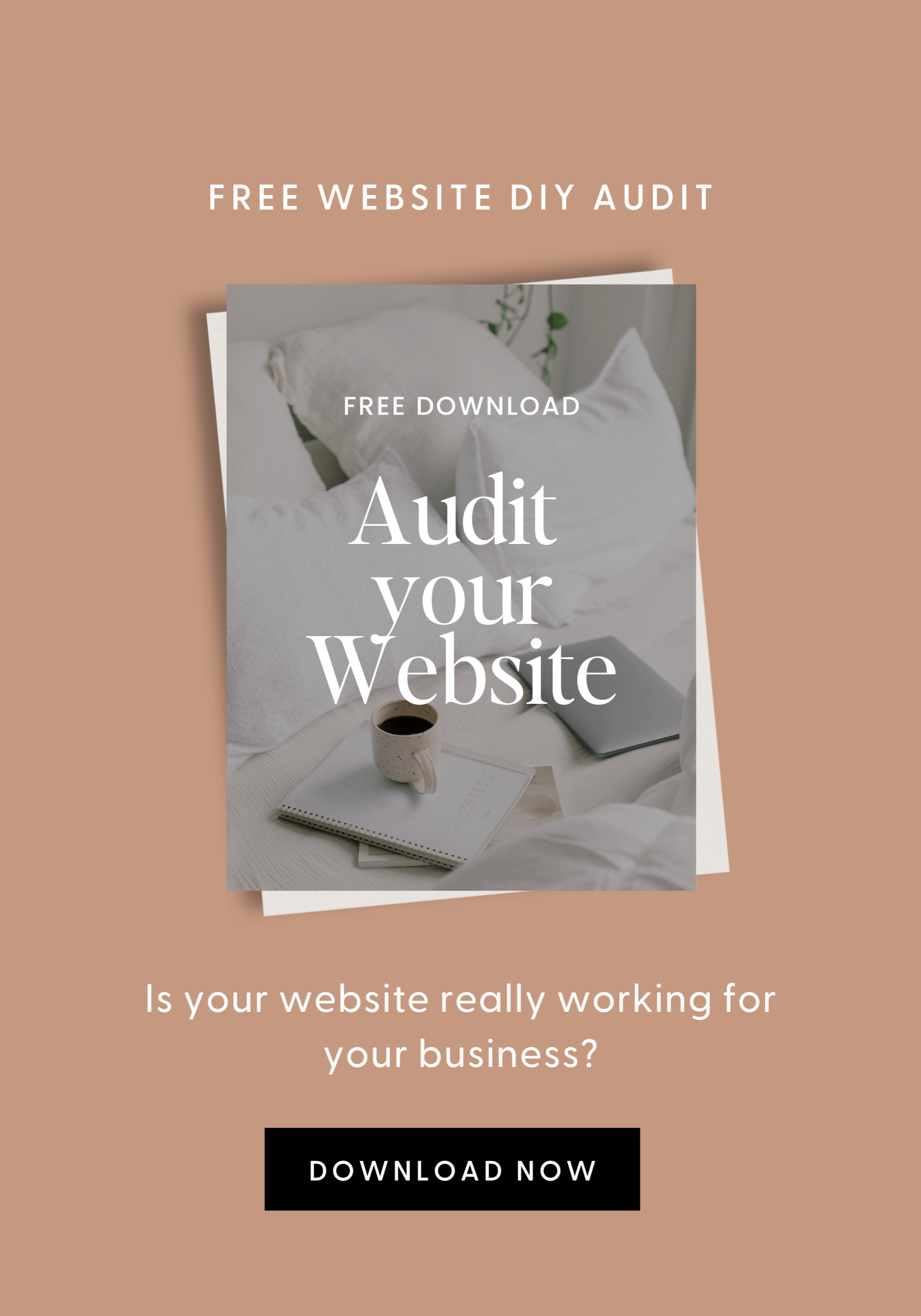 audit your wordpress website