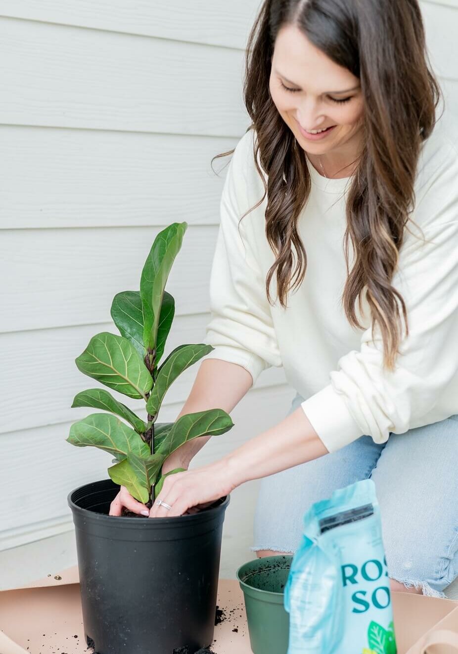 Southern-Creative-Owner-Stephanie-Okeefe Stephanie O'Keefe Planting A Fiddle Leaf While Taking A Break From Designing.