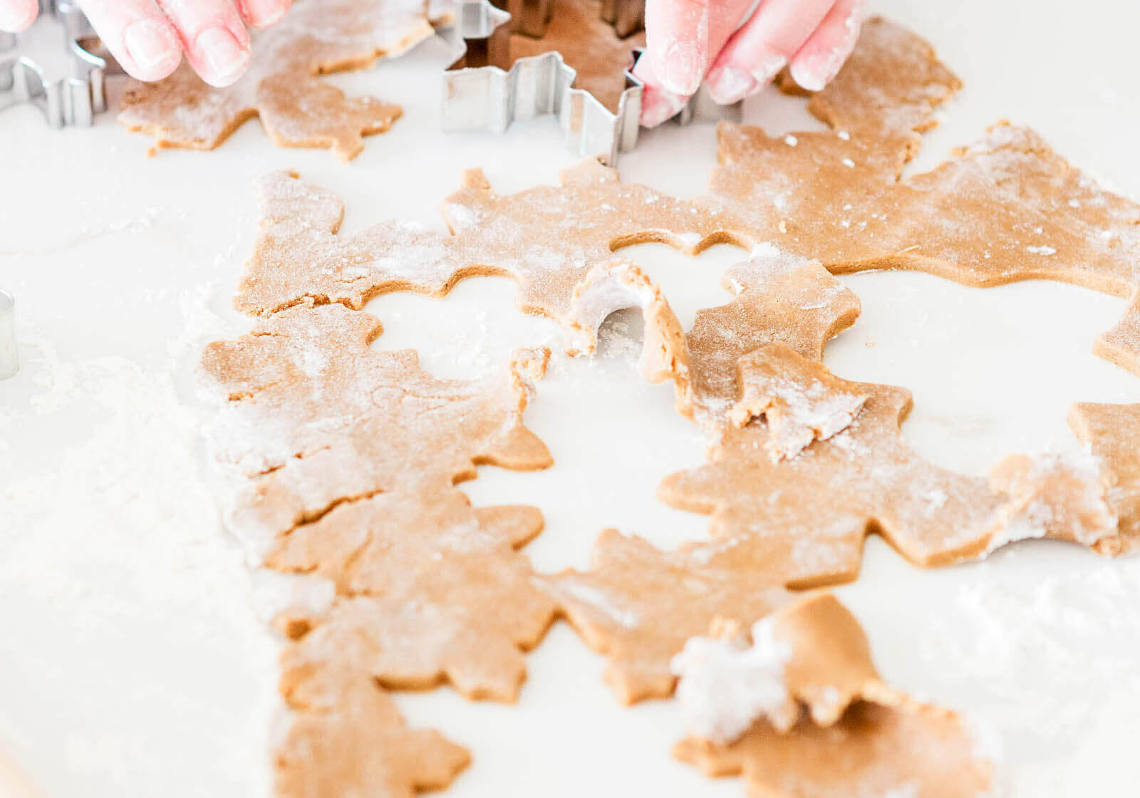 website-cookies-for-wordpress-site